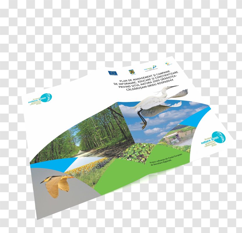 Water Resources Brand - Design Transparent PNG