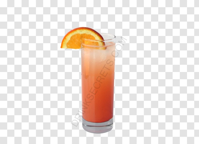 Orange Juice Bay Breeze Cocktail Garnish Alabama Slammer - Mulled Wine Transparent PNG