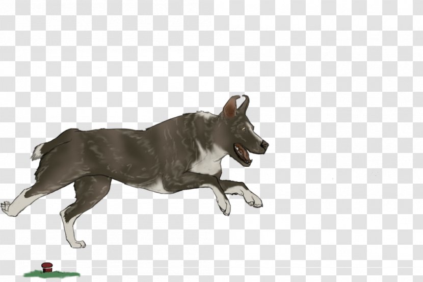 Dog Breed Fauna Wildlife - Carnivoran Transparent PNG