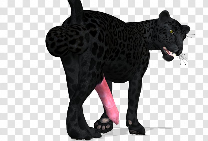 Panther Cat - Dog Like Mammal Transparent PNG