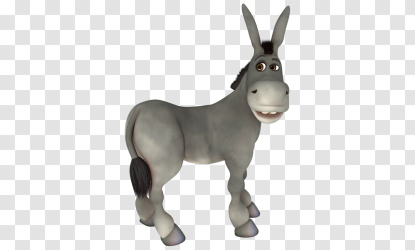 Donkey Photography Aasi - Mare Transparent PNG