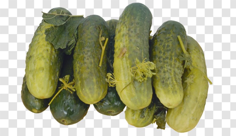 Pickled Cucumber Pickle Soup Kharcho Russian Cuisine - Recipe Transparent PNG