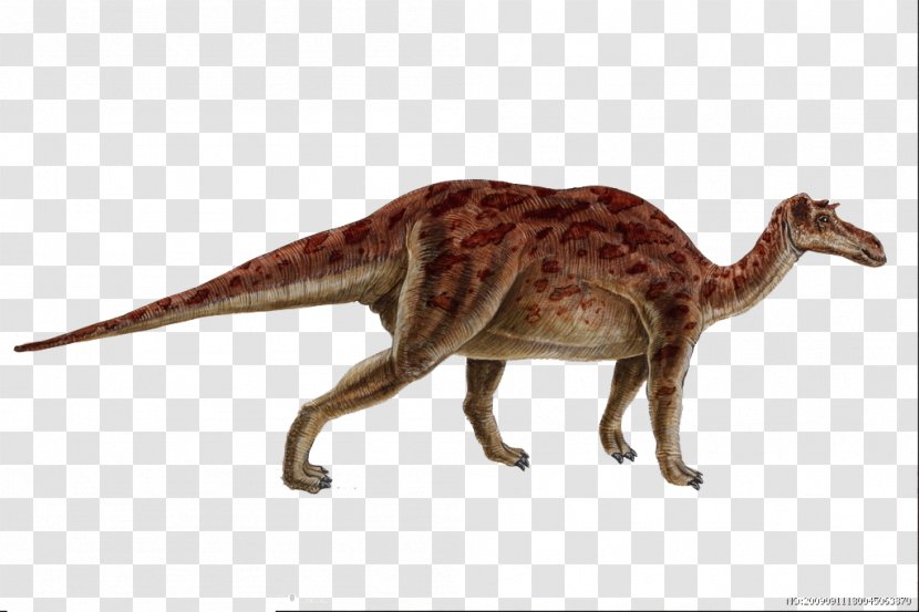 Maiasaura Iguanodontia Dinosaur Genasauria Late Cretaceous - Tree - Creative Transparent PNG