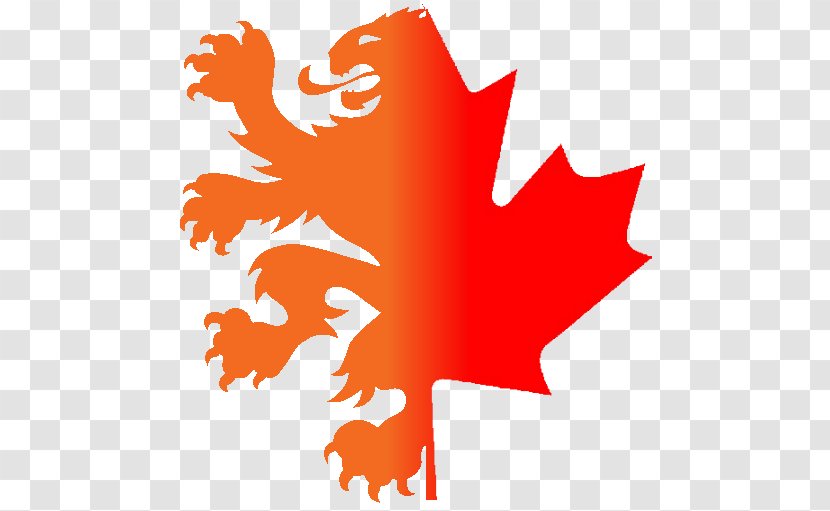 Flag Of Canada Maple Leaf Shutterstock - Flowering Plant Transparent PNG