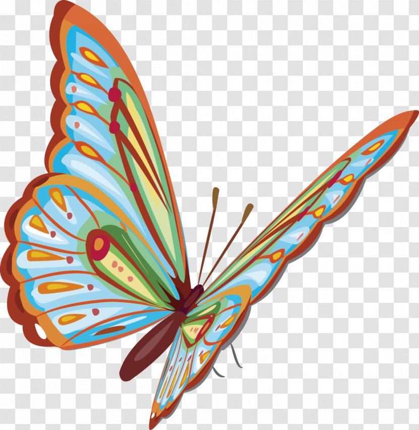 Butterfly Download Clip Art - Insect - Decorative Design Exquisite Transparent PNG