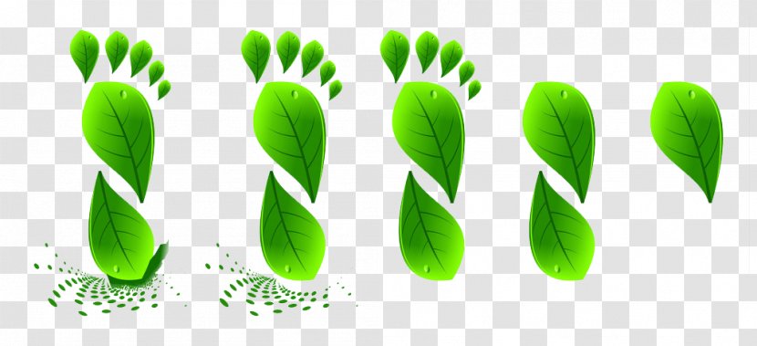 Green Icon - Plant - Shiny Creative Footprints Transparent PNG