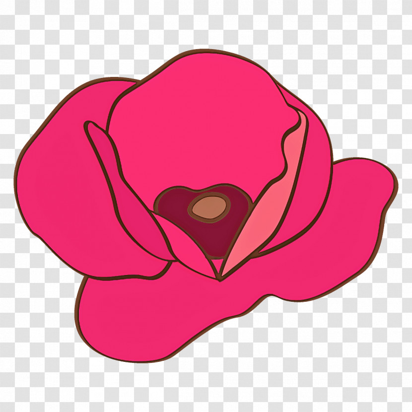 Poppy Flower Transparent PNG