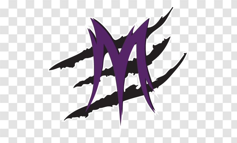 West Michigan Mayhem Women's Football Alliance New York Sharks England Nightmare Richmond Black Widows - Hudl - American Transparent PNG