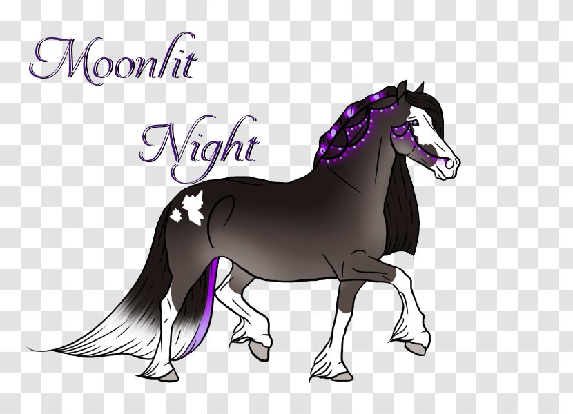 Mustang Stallion Foal Colt Mare - Vertebrate - Girls Night Transparent PNG