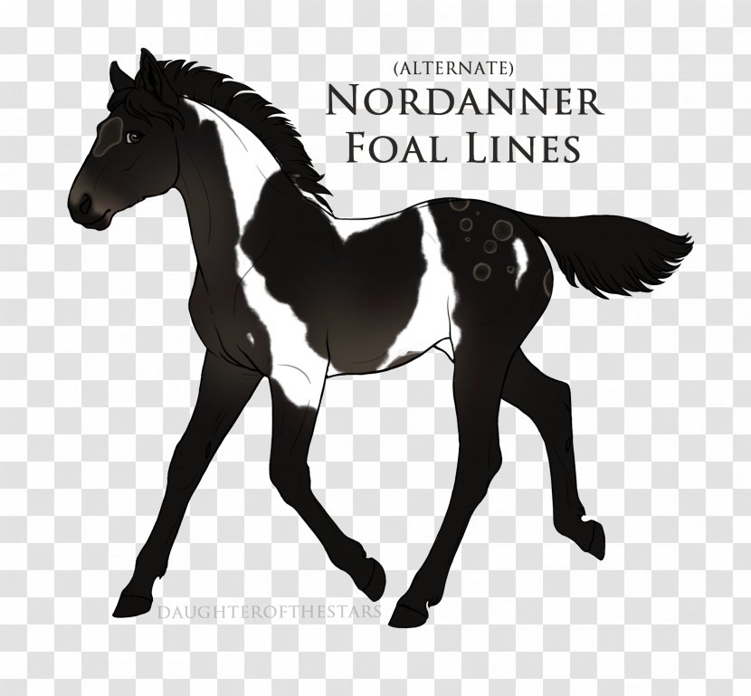 Mustang Stallion Arabian Horse Mane Pony - Bridle Transparent PNG