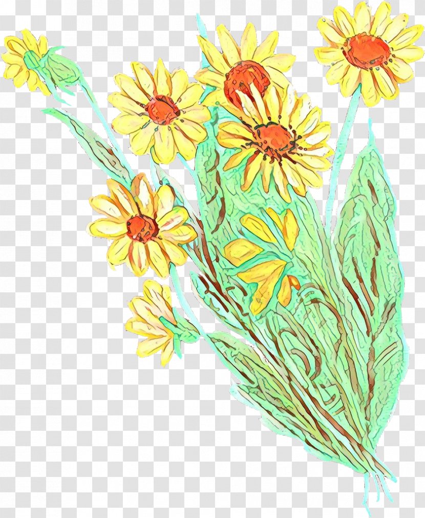 Flowers Background - Sunflower - Aster Mayweed Transparent PNG