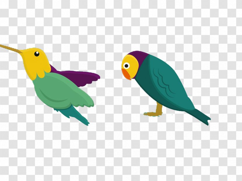 Bird Parrot Drawing - Cartoon Transparent PNG