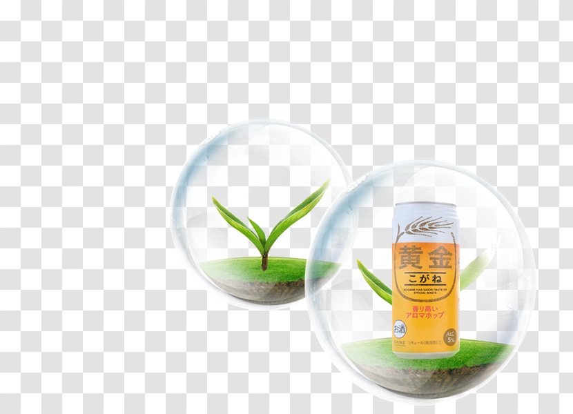 Drink - Liquid Transparent PNG