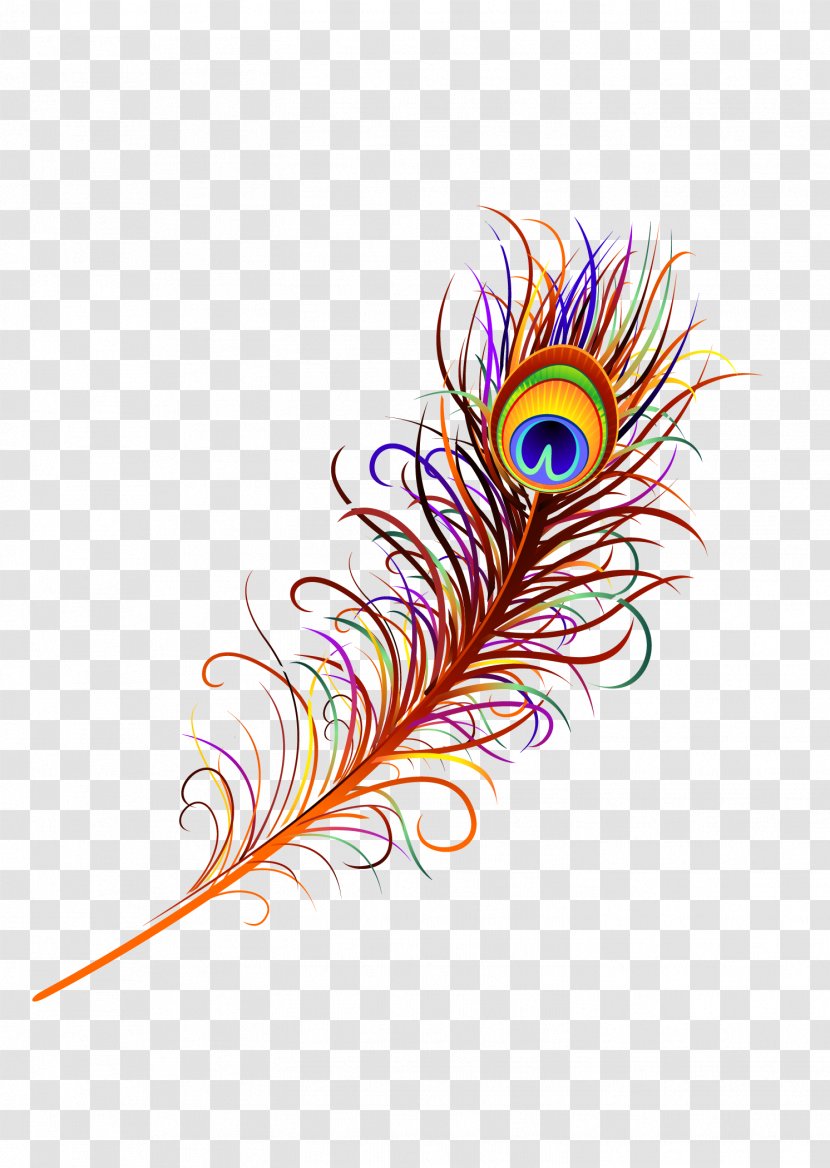 Asiatic Peafowl Feather - Peacock Transparent PNG