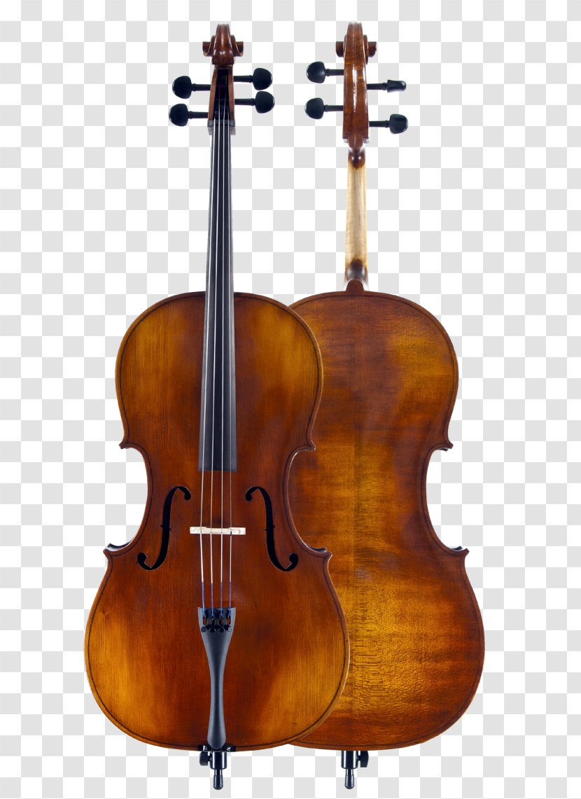 Cello The Strad Violin Stradivarius Amati - Flower Transparent PNG