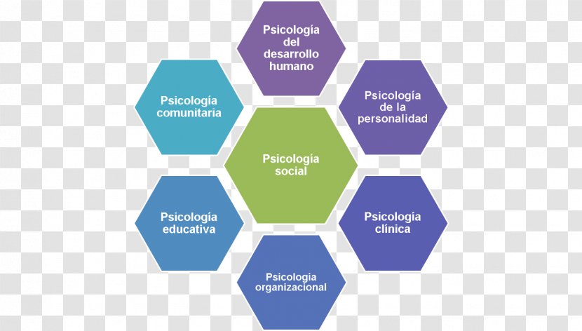 Hofstede's Cultural Dimensions Theory Culture Power Distance Cross-cultural Communication - Crosscultural - Research Transparent PNG