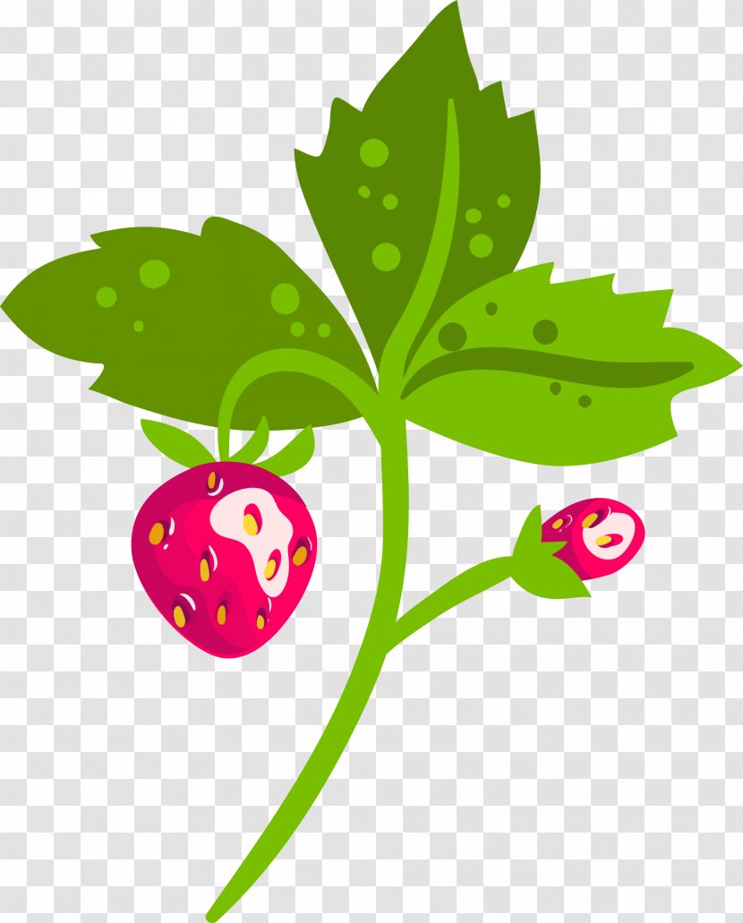 Fruit Clip Art Strawberry Image - Painting - Beautiful Flower Transparent PNG