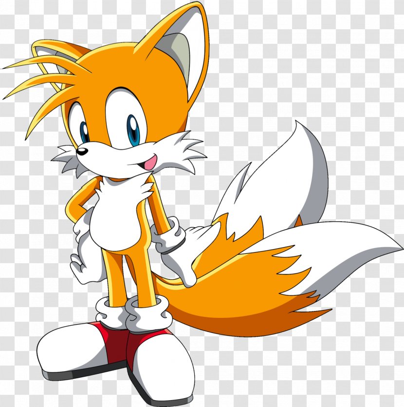 Tails Sonic The Hedgehog Chaos Shadow Knuckles Echidna - Vertebrate - Fox Transparent PNG