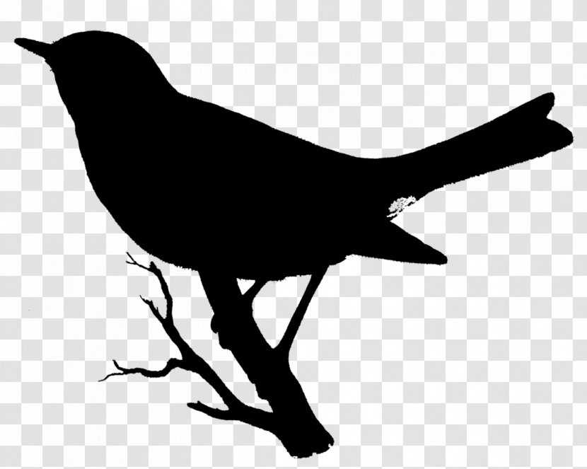 American Crow Clip Art Fauna Beak Silhouette - Wing Transparent PNG