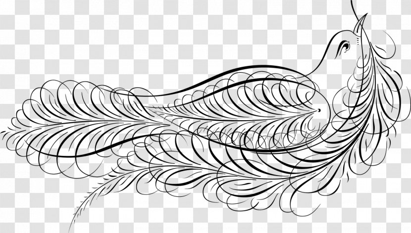 Drawing Royalty-free Line Art - Video - Calligraphic Design Transparent PNG