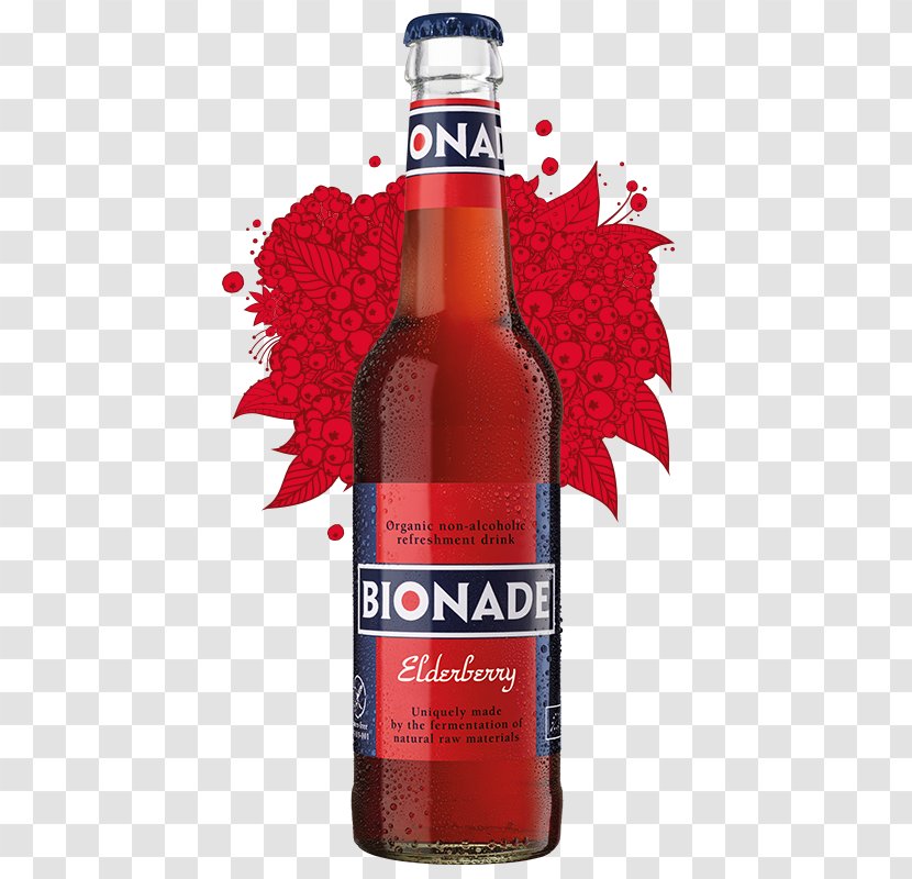 Fizzy Drinks Lemonade Liqueur Bionade Beer Bottle - Aranciata Transparent PNG