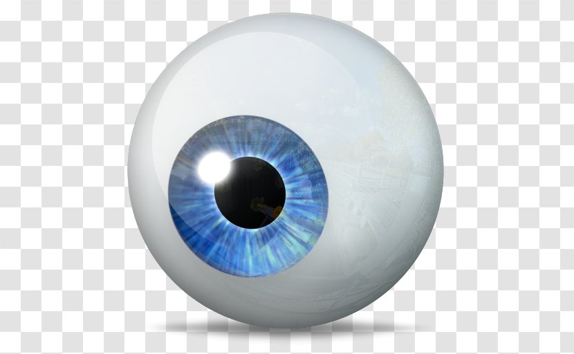 Eye The Noun Project Icon - Flower Transparent PNG