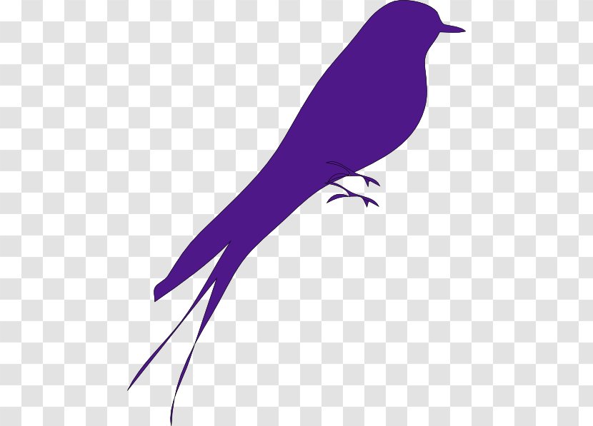 Bird Purple Clip Art - Tail - Big Clipart Transparent PNG