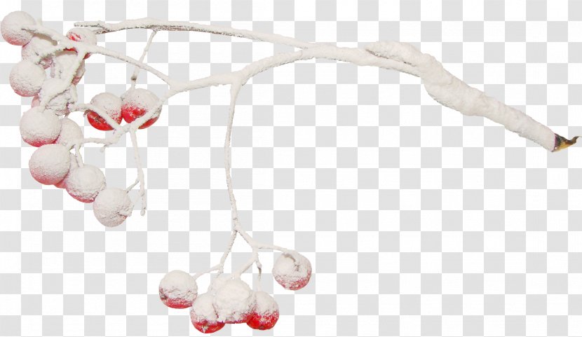 Body Jewellery Toy Infant - Jewelry - Chilli Transparent PNG