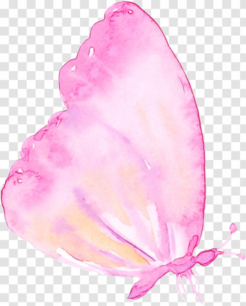 Pink - Watercolor - Wet Ink Transparent PNG