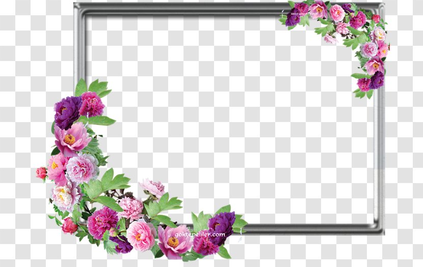 Printing And Writing Paper Floral Design Picture Frames Flower - Pink - Plant Transparent PNG