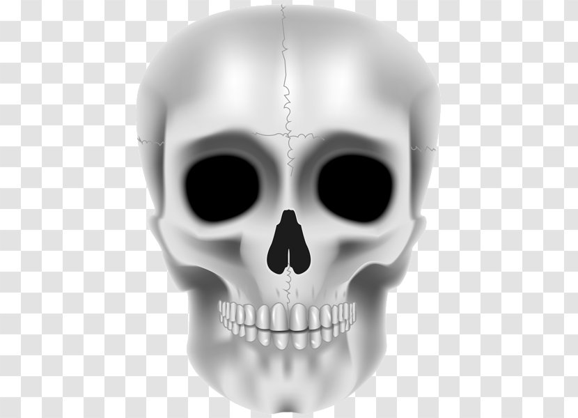 Jaw Skull Skeleton Product Design Transparent PNG