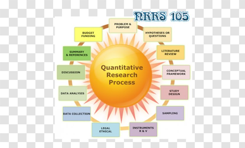 Quantitative Research Qualitative Quantity Data Collection - Objectivity - Measurement Transparent PNG