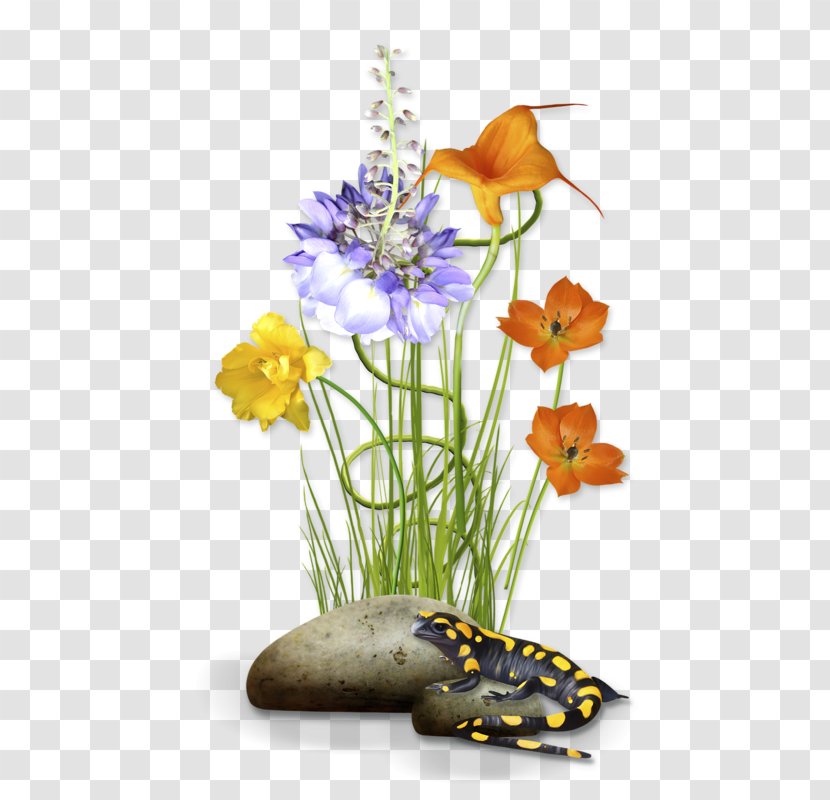 Floral Design Flower - Floristry Transparent PNG