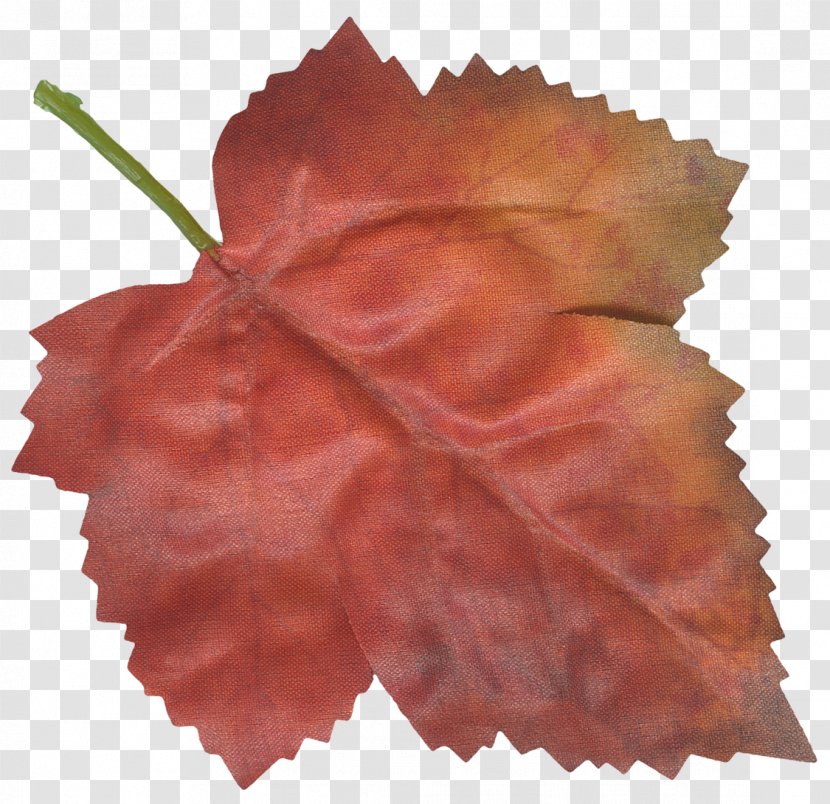 Maple Leaf Petal Flower - Peach - Thanksgiving Transparent PNG