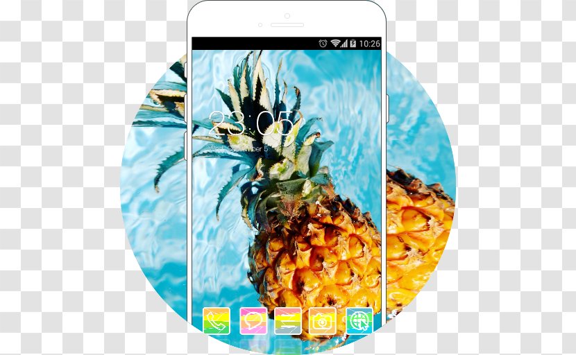 Pineapple Desktop Wallpaper Photography - Canvas - Tropical Transparent PNG