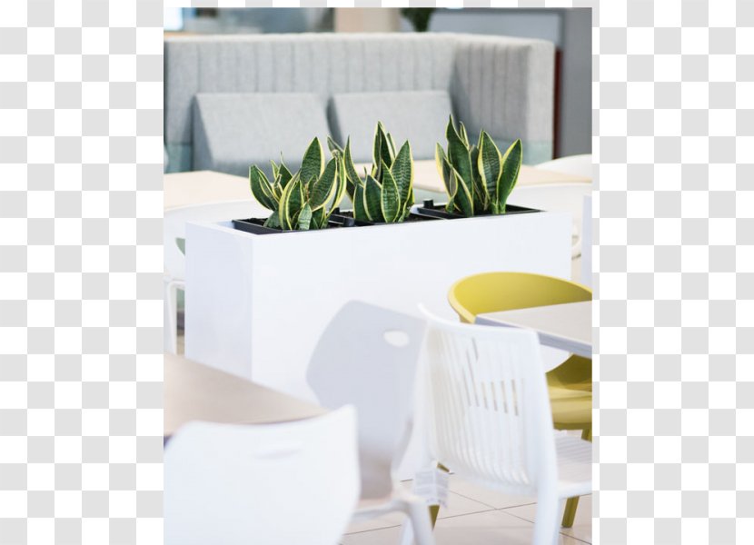 Vase Porcelain Angle Flowerpot Transparent PNG