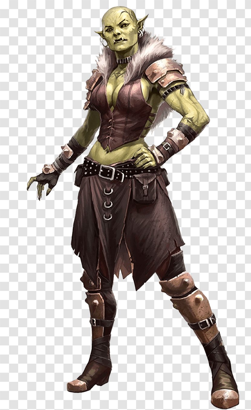 Half-orc Pathfinder Roleplaying Game Art Female - Monk Transparent PNG