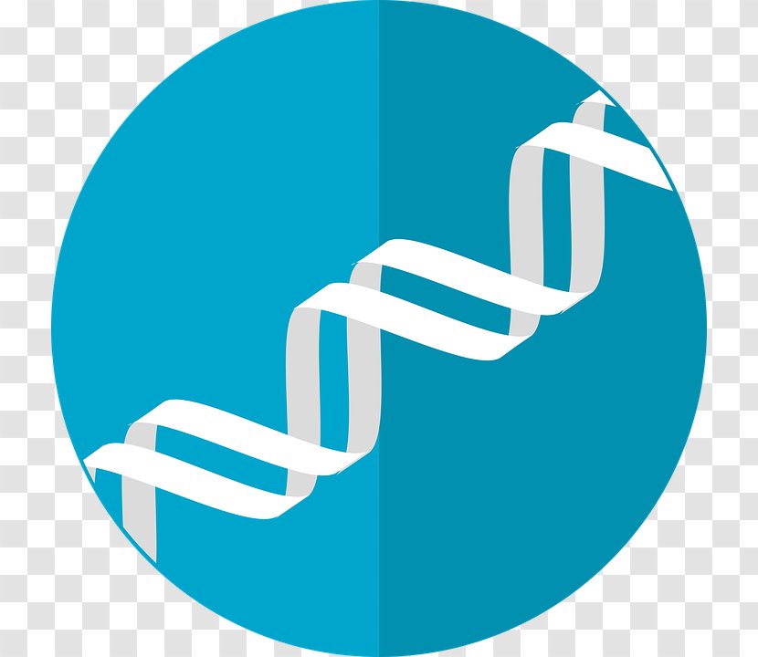 Genetics DNA Nucleic Acid Double Helix - Technology - Dna Vector Transparent PNG
