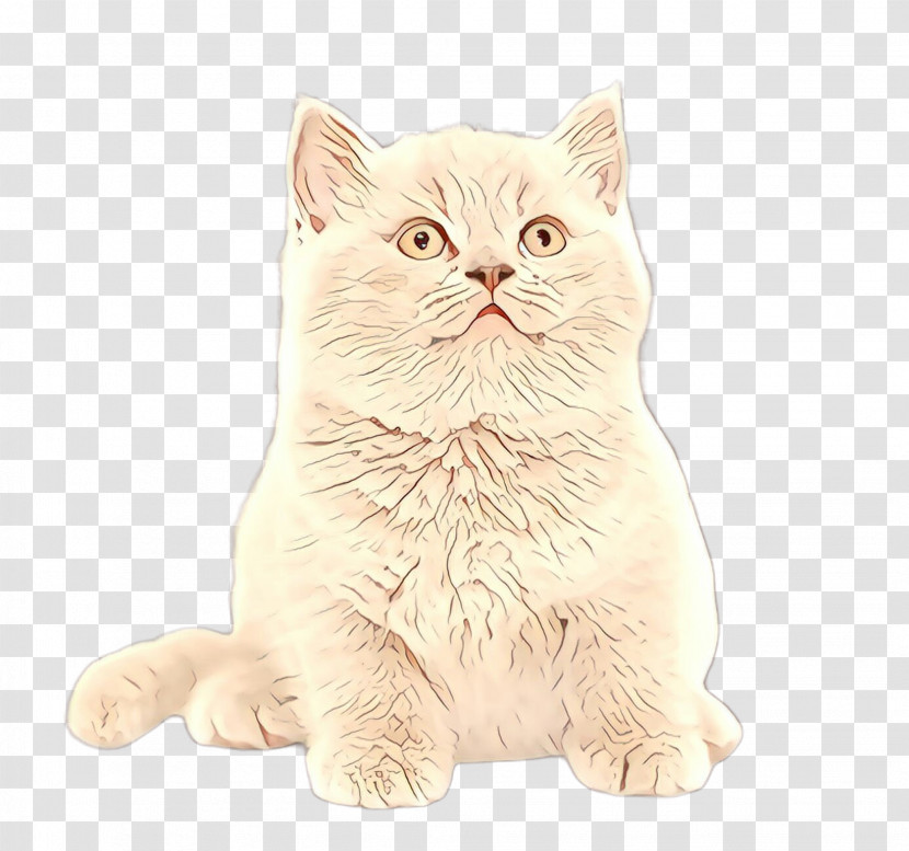 Cat Small To Medium-sized Cats Whiskers British Shorthair Persian Transparent PNG