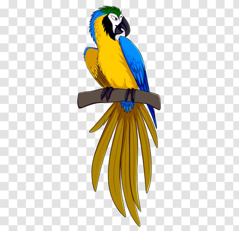 Blue-and-yellow Macaw Parrot Bird Rio - Drawing Transparent PNG