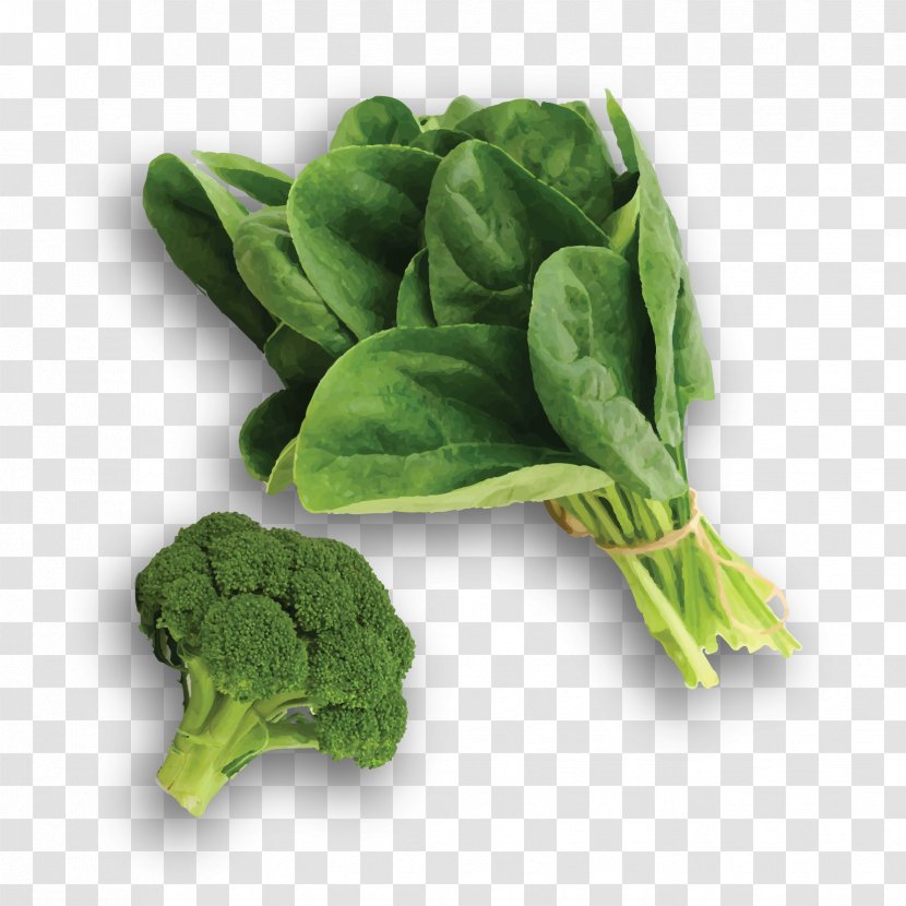 Spinach Collard Greens Cruciferous Vegetables Food Komatsuna - Vegetarian Transparent PNG