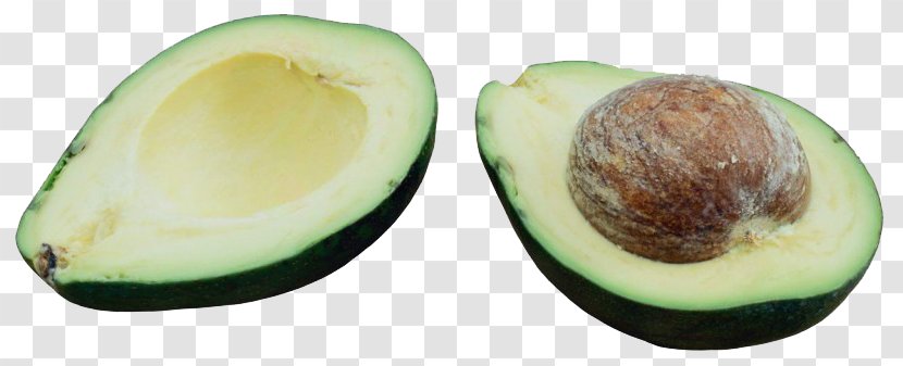 Avocado Pear Euclidean Vector - Ingredient - Cut Transparent PNG