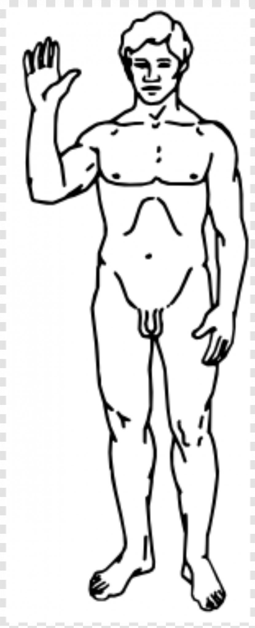 Man Homo Sapiens Raster Graphics - Heart - Gentleman Transparent PNG