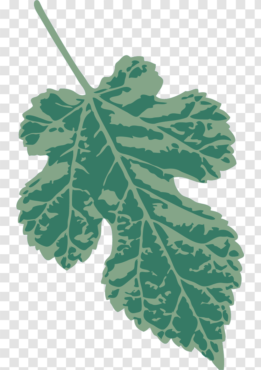 Fruit Tree Transparent PNG