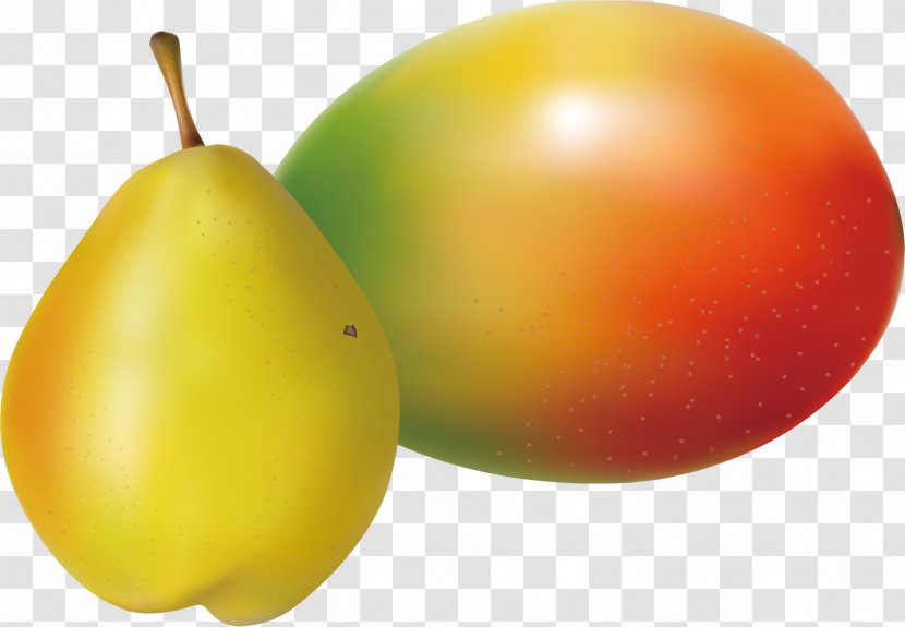 Pyrus Nivalis Download - Fruit - Pear Material Picture Transparent PNG