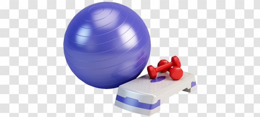 Exercise Balls Stock Photography Royalty Payment - Weight Training - Hatha Yoga Transparent PNG