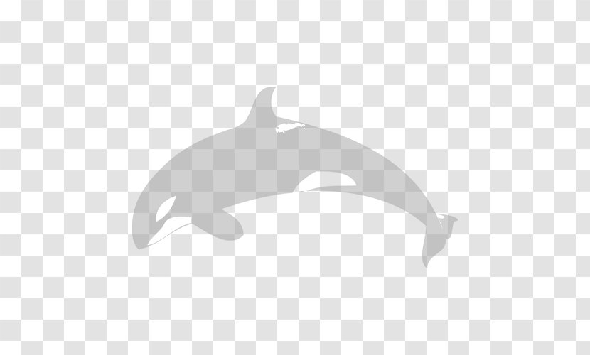 Porpoise Common Bottlenose Dolphin Cetacea Marine Mammal - Prophet - Whale Watercolor Transparent PNG