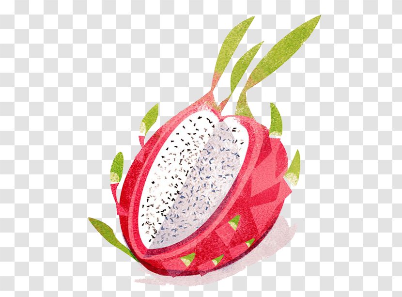 Strawberry Pitaya Fruit Vegetable Illustration - Food - Hand-painted Dragon Transparent PNG