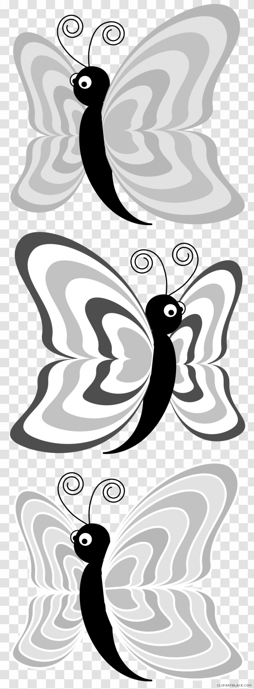 Butterfly Vector Graphics Image Cartoon - Flightless Bird Transparent PNG