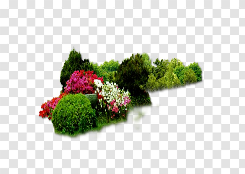 Download - Petal - Flower Bed Transparent PNG